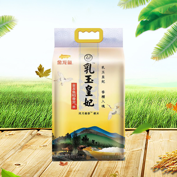金(jīn)龍魚稻香貢米